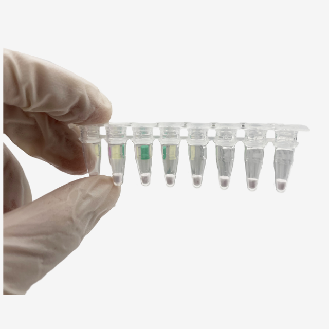 Prezzo di fabbrica Cov-19 Reagente per l'esame della PCR di liofilizzazione